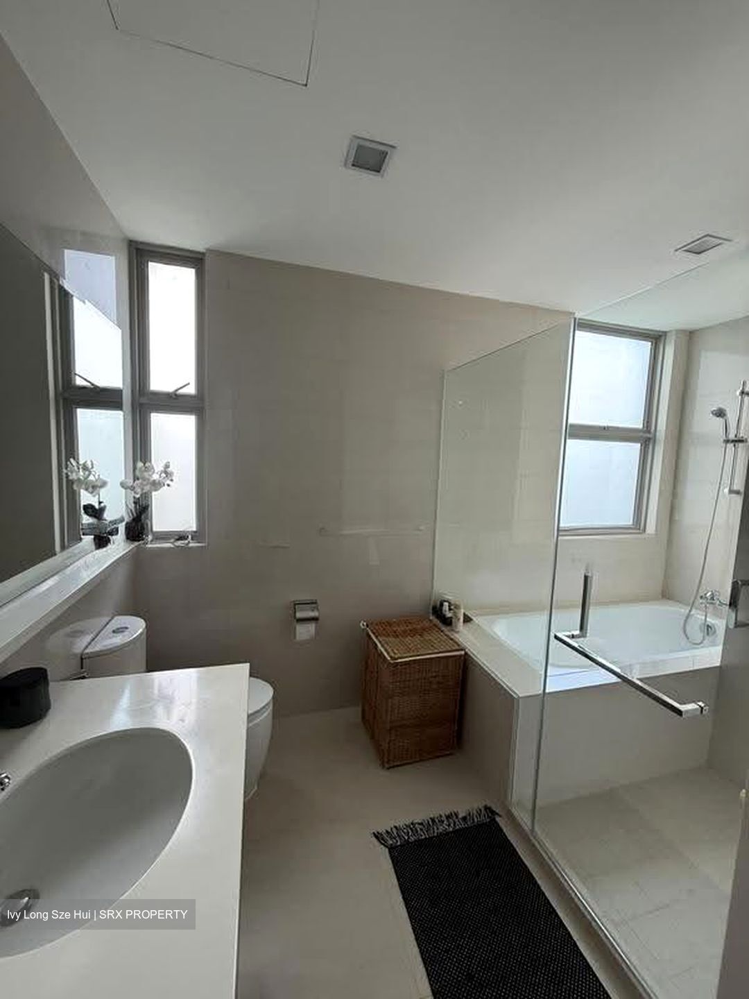 Nassim Regency (D10), Condominium #607353741